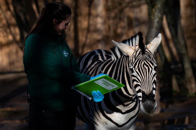 ZSL London Zoo annual stocktake