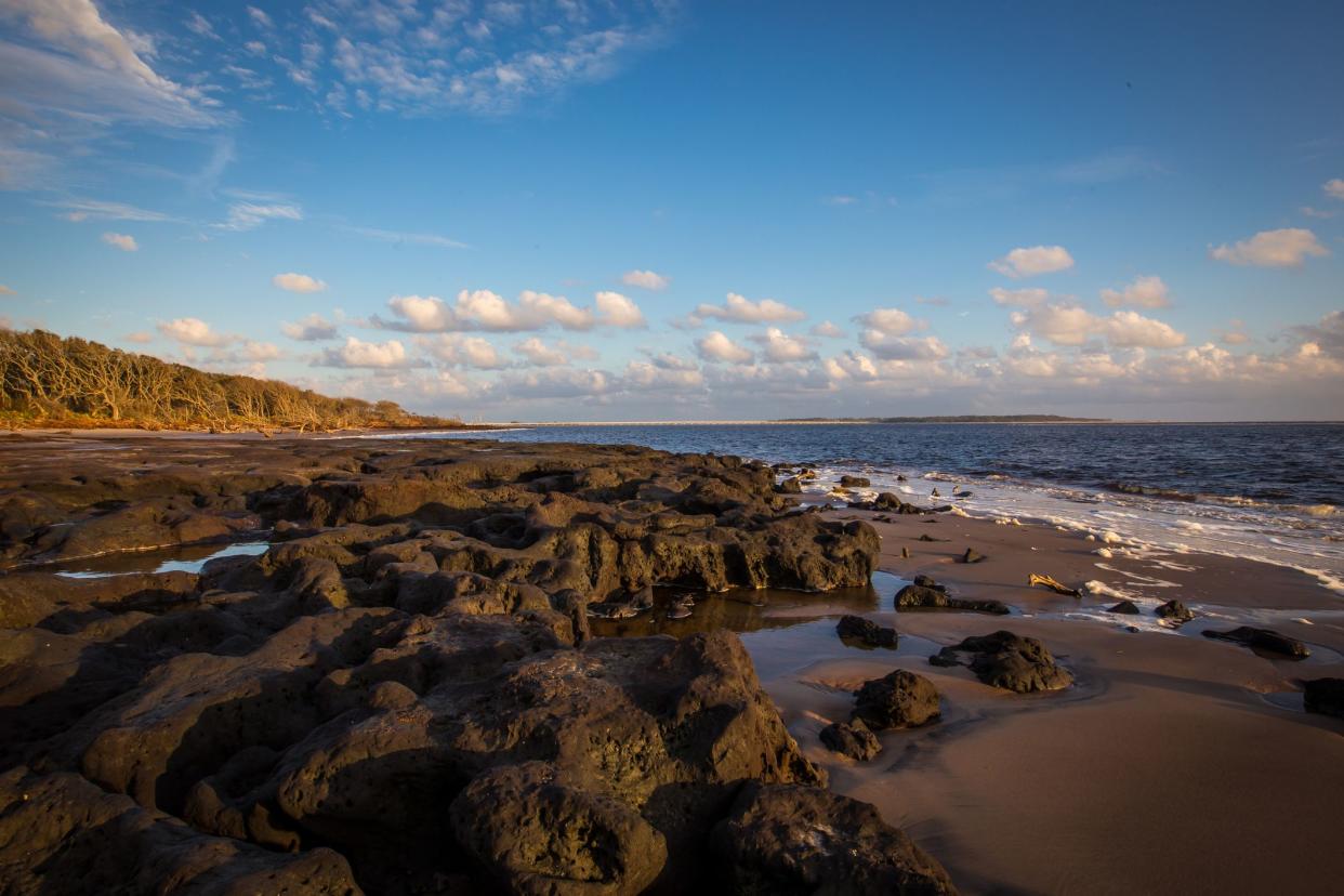 Black Rock Beach at Big Talbot Island in Jacksonville, FL