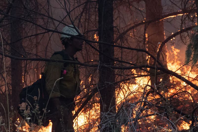 Firefighter from Las Vegas stands on sideline of firing operation near the Obenchain Fire in Butte Falls, Oregon