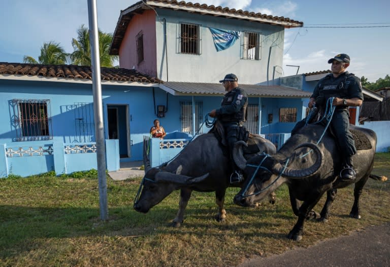 La policía militar del 8º batallón patrulla sobre búfalos de agua en Soure, isla de Marajó Island, estado de Pará, Brasil, el 4 de septiembre de 2023 (CARL DE SOUZA)