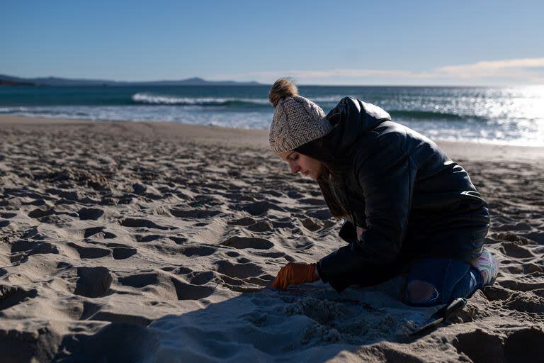 Voluntarios hacen una recogida de pellets de la arena, Galicia, a 7 de enero de 2024, en A Coruña (España).