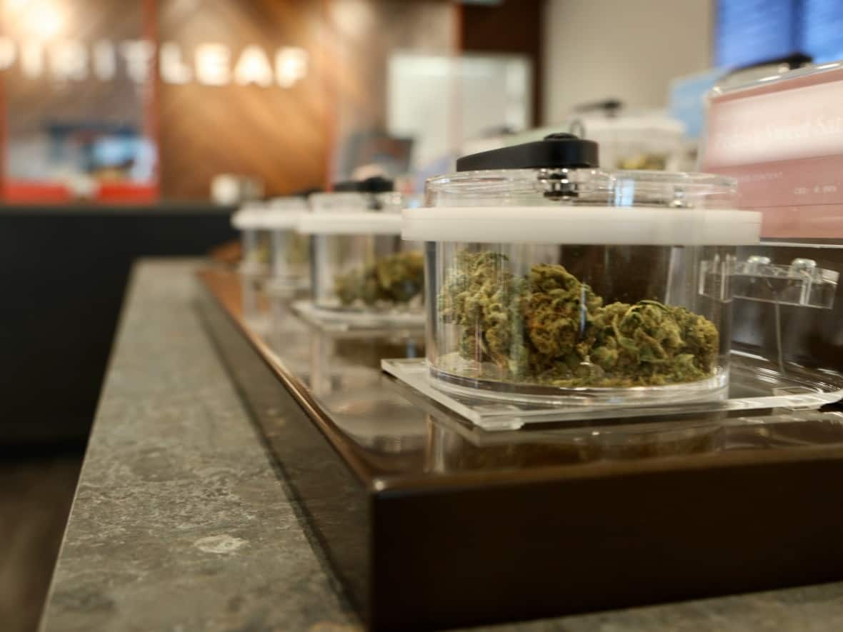 Cannabis products are seen on display in an Ottawa store in 2020. Ottawa Public Health is set to issue dozens of recommendations to the federal government on the Cannabis Act as a mandatory review of the legislation gets underway. (Andrew Lee/CBC - image credit)