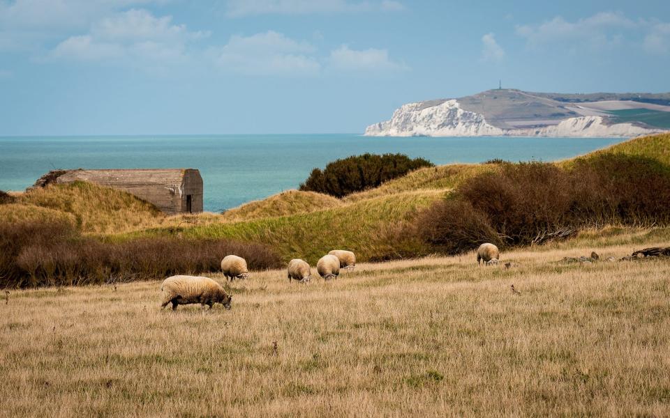 The Pas-de-Calais coast - Getty