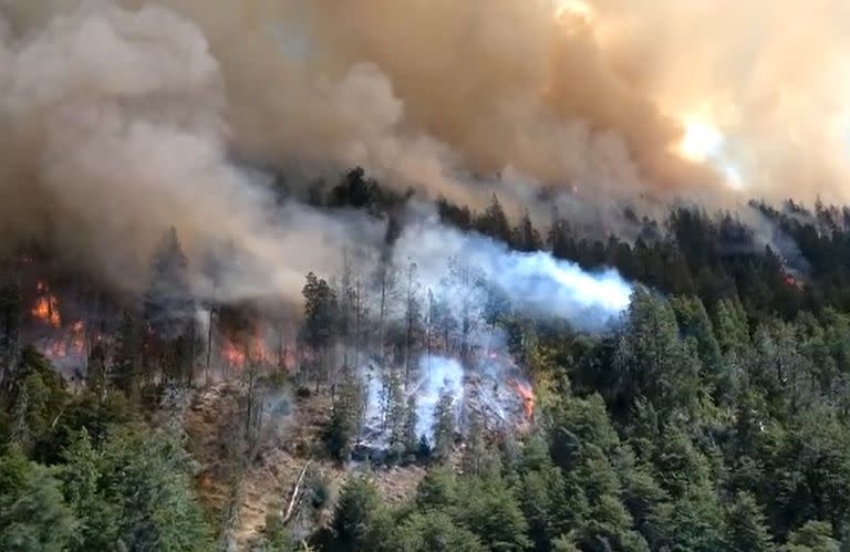 El incendio afectó unas cinco hectáreas y crece