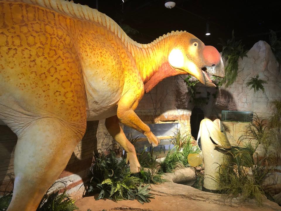 The Arizona Museum of Natural History in Mesa is home to several animatronic dinosaurs that roar.