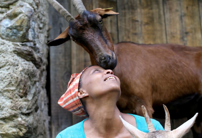 FILE PHOTO: A Mochena goat nuzzles up to Ethiopian Agitu Idea Gudeta, 40, at the her stable at the Valle dei Mocheni near Trento