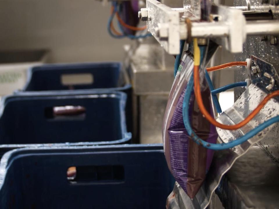 A bag is filled with blended açaí in a processing facility.