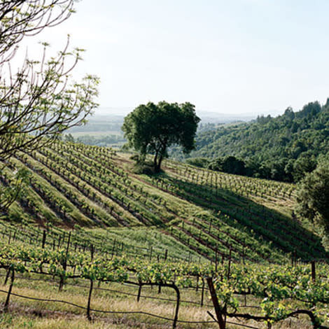 Sonoma County, California