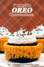 <p>To make the chocolatey top and bottom of these mini cheesecakes, just split an Oreo cookie in half. </p><p><strong>Get the recipe at <a href="http://insidebrucrewlife.com/2010/10/pumpkin-oreo-cheesecake/#_a5y_p=2240152" rel="nofollow noopener" target="_blank" data-ylk="slk:Inside BruCrew Life;elm:context_link;itc:0;sec:content-canvas" class="link ">Inside BruCrew Life</a>.</strong></p>