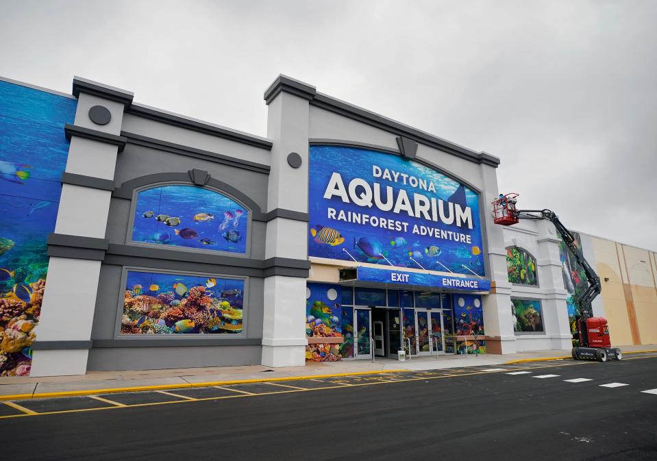 Work continues at the soon-to-open Daytona Aquarium & Rainforest Adventure, an attraction that has been welcomed enthusiastically by hoteliers and area tourism leaders. It is expected to open in the first quarter of 2024.