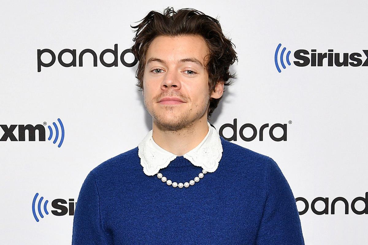 Harry Styles' New Haircut Is Sending Fans Into a Frenzy