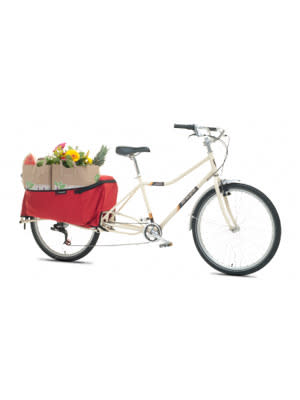 The Carry-All Bike