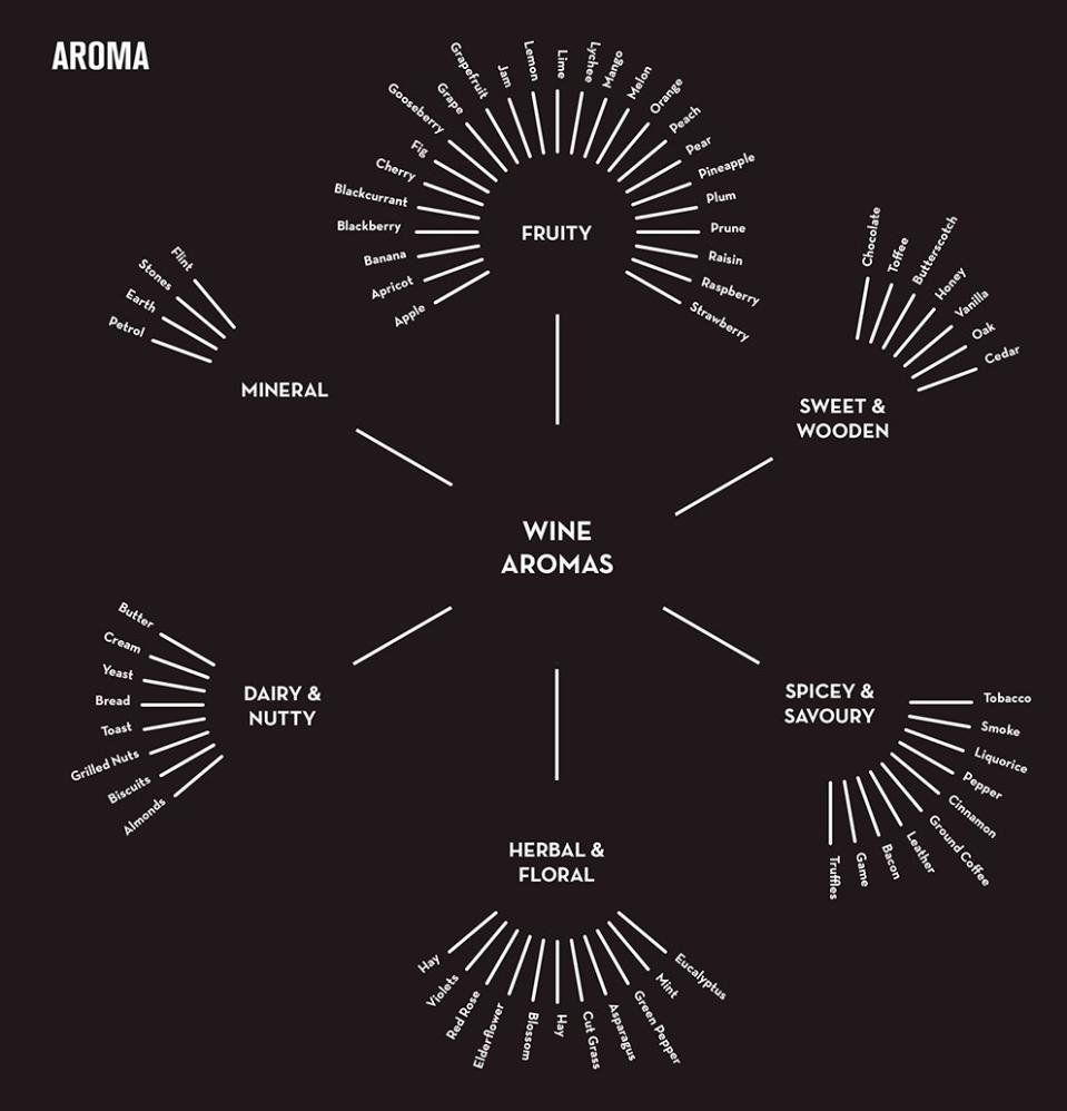 aroma beginner's guide to wine