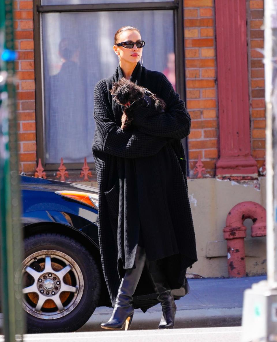 new york, new york april 04 irina shayk is seen with her dog on april 04, 2024 in new york city photo by gothamgc images