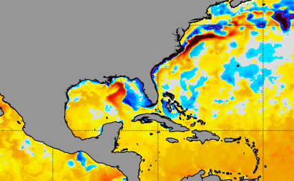 An area of cooler than normal sea surface temperatures – shown in blue – along the Atlantic coast may have contributed to a few puffins finding their way to the Florida coast, according to Michael Brothers, a member of the Florida Ornithological Society.