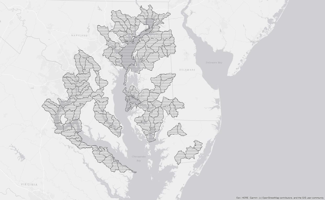 Blue catfish can be found in every tidal river feeding into the Chesapeake Bay, and shaded areas show the known locations of blue catfish around the Bay, according to the Maryland Department of Natural Resources.