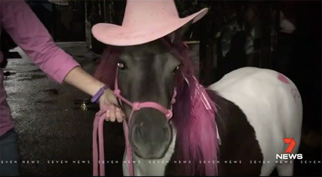 Tori posed with party-goers at the Melbourne CBD night club. Source: 7 News