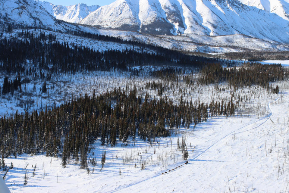 Aaron Burmeister nears the Rohn checkpoint during the Iditarod Trail Sled Dog Race on Saturday, March 13, 2021, in Alaska (Zachariah Hughes/Anchorage Daily News via AP, Pool)