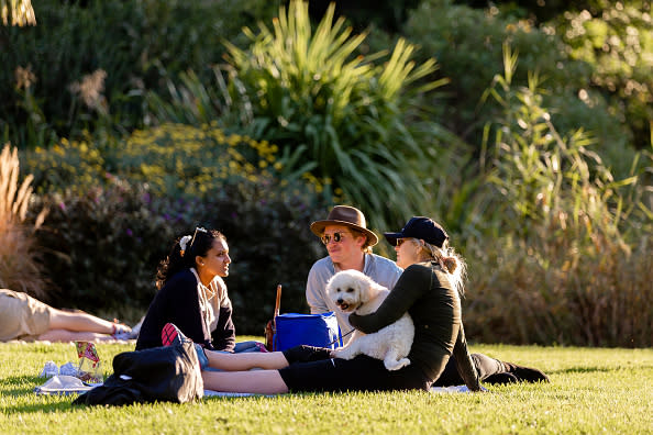 Three friends and a dog enjoy the perfect Melbourne weather in the Botanical Gardens.