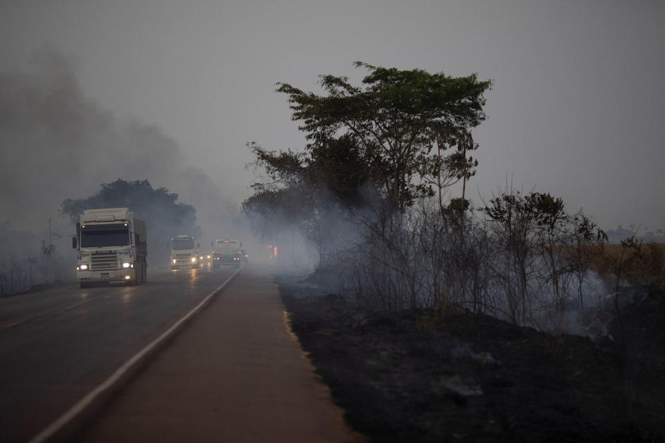 Trucks drive alongside scorched fields on the BR163 highway in the Nova Santa Helena municipality, in the state of Mato Grosso, Brazil (Picture: AP)