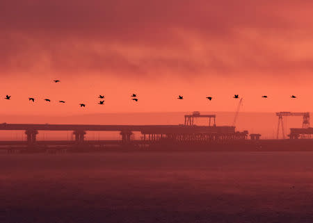 Birds fly past a road-and-rail bridge, which is constructed to connect the Russian mainland with the Crimean peninsula, at sunrise in the Kerch Strait, Crimea November 26, 2018. REUTERS/Pavel Rebrov