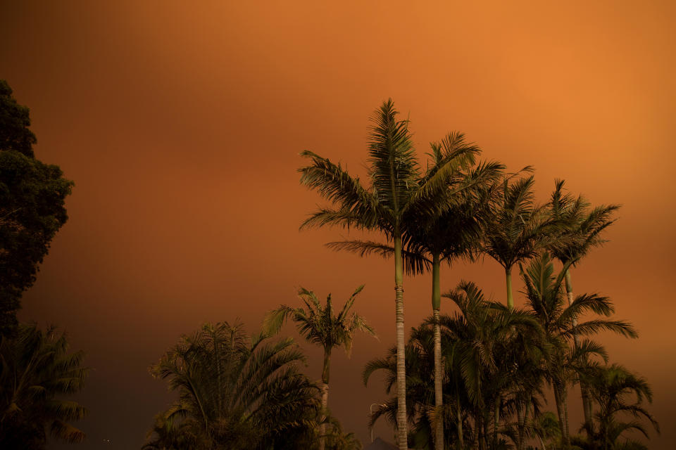 Los incendios en Australia dejan un panorama desolador. (Cassie Spencer/Getty Images)