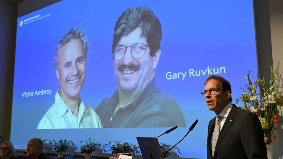 Nobel Committee Secretary General Thomas Perlmann speaks to the media in front of a picture of this year's laureates Victor Ambros and Gary Ruvkum during the announcement of the Nobel Prize in medicine winners on Monday. - Jonathan Nackstrand/AFP/Getty Images