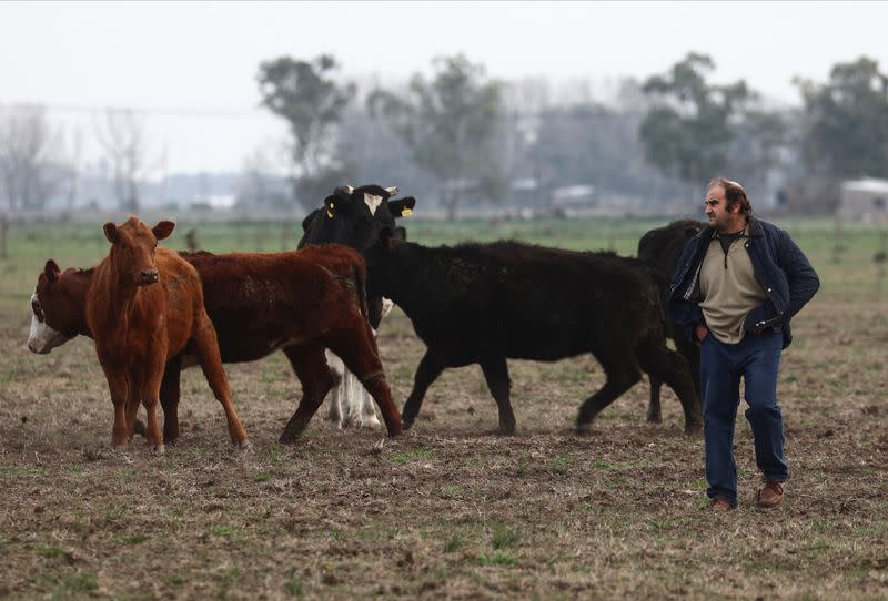 Argentine farmers lay out political expectations before presidential primaries