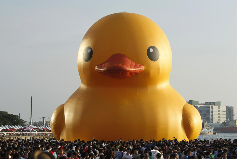 A giant yellow duck sits at the Glory Pier in the port of Kaohsiung, Taiwan, Thursday, Sept. 19, 2013. Despite the heat, thousands flocked to the port of Kaohsiung, the first leg of the Taiwan tour, to see Dutch artist Florentijn Hofman's famous 18 meter (59 foot) yellow duck, a gigantic version of the iconic bathtub toy used by children around the world. (AP Photo/Wally Santana)