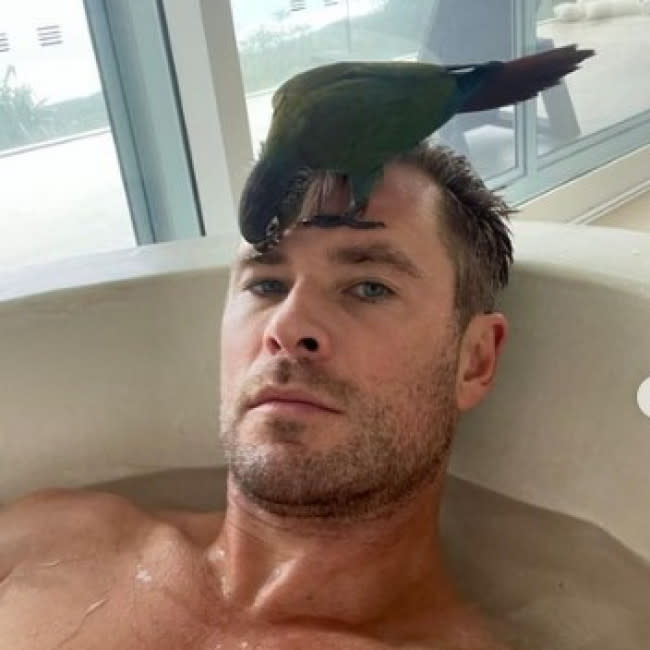 Chris Hemsworth en una de las fotos compartidas por Elsa Pataky en Instagram credit:Bang Showbiz