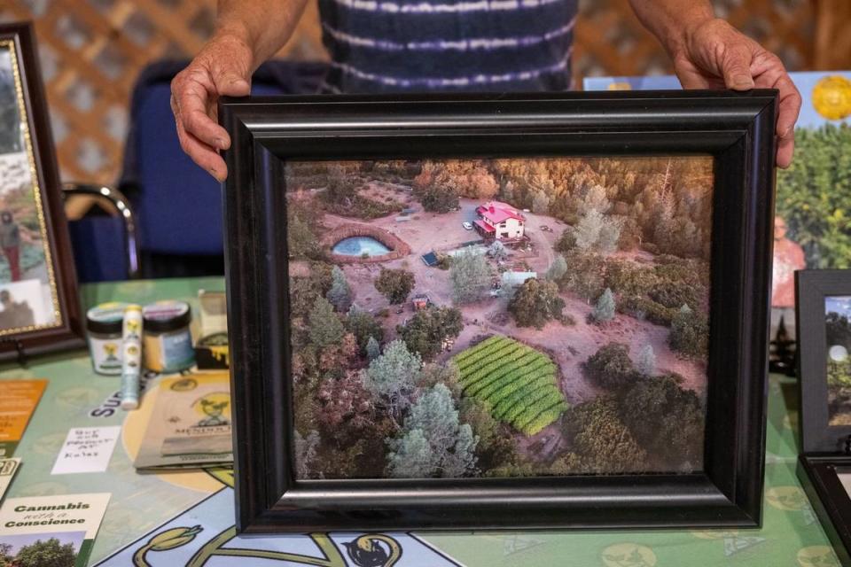 Sue Crews shows a picture of her small family cannabis farm while chatting with visitors at her Mendocino Family Farms booth at the California State Fair on Thursday.