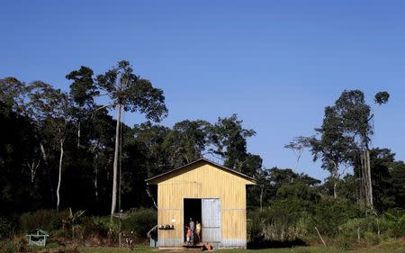 A house stands in the Chico Mendes Extraction Reserve in Xapuri, Acre state, Brazil, June 24, 2016. REUTERS/Ricardo Moraes