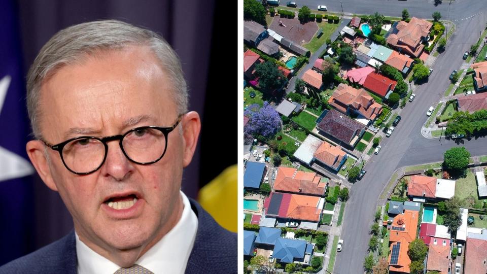 Anthony Albanese and houses in suburbia