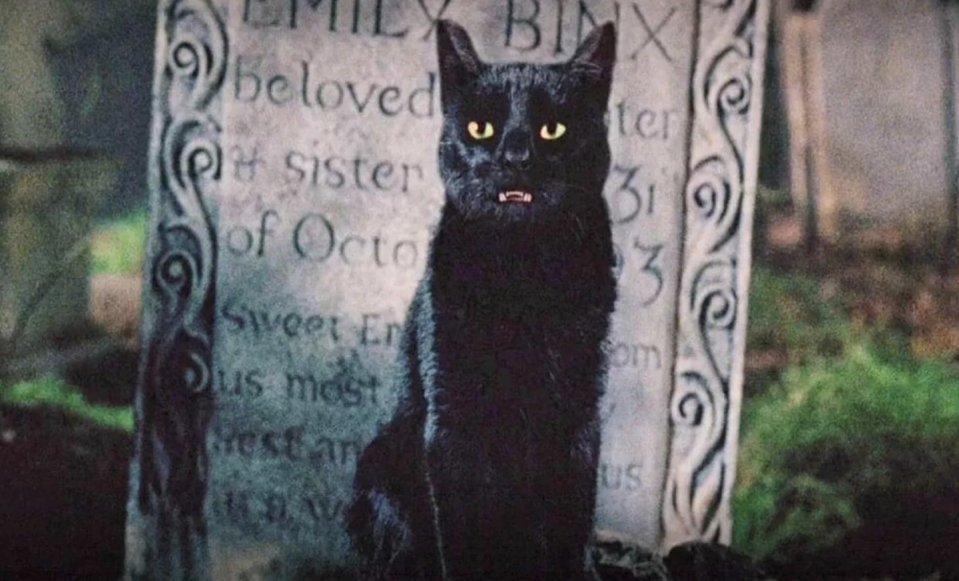 thackery binx from hocus pocus