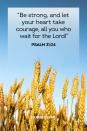 <p>"Be strong, and let your heart take courage, all you who wait for the Lord!"</p>