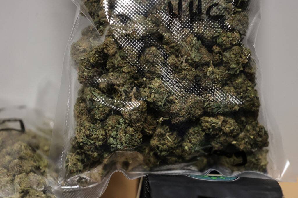 Pas moins de 70 kg de cannabis ont été trouvés au domicile de la maire d’Avallon. Photo d’illustration de cannabis saisi par la police française.