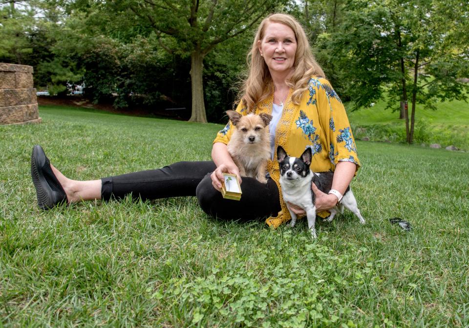 Karen Martos was in the backyard of her Morton home Monday, Aug. 3, 2020 with her chihuahuas Maverick, left, and Daisy when she happened to peruse a patch of clover and discovered a rare six-leaf clover.