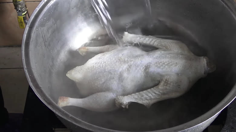 Goose in boiling water