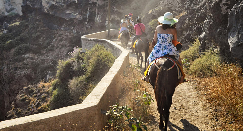 Animal activists say the donkeys are forced to carry more and more tourists who are obese, leaving them with spinal injuries and open wounds from ill-fitting saddles. Source: Getty