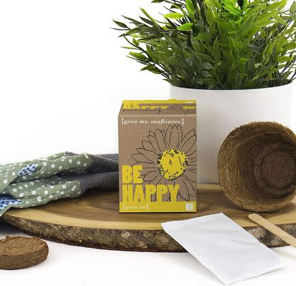 This sunflower growing kit that’s super easy to follow
