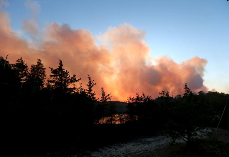 Smoke rises above the Stafford Forge Wildlife Management area off Route 539 in Little Egg Harbor Tuesday afternoon, March 7, 2023.