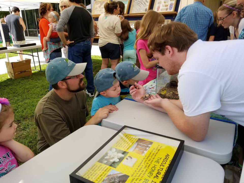 The insect zoo at a previous year's Butterfly Festival.