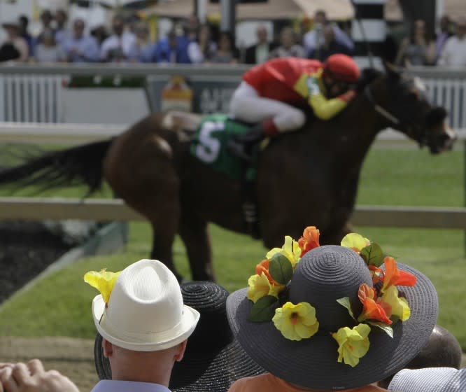 Fans watch the Deputed Testimony Handicap horse race where Fish Whistler (5) with Trevor McCarthy aboard heads to the finish line where he won before the 140th Preakness Stakes horse race at Pimlico Race Course, Saturday, May 16, 2015, in Baltimore. (AP Photo/Garry Jones)