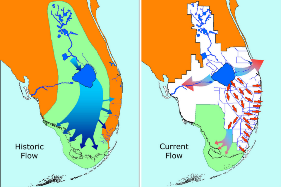Everglades restoration is aimed at restoring key historic attributes of the river of grass, especially water quality, storage and flow. It is projected to take many decades to complete.