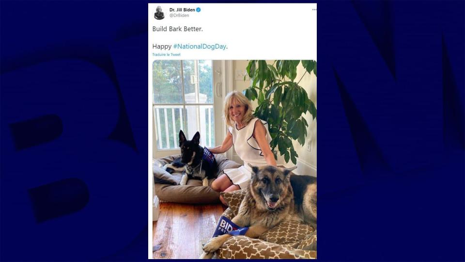 Jill Biden avec les deux chiens du couple, Champ et Major.  - BFMTV