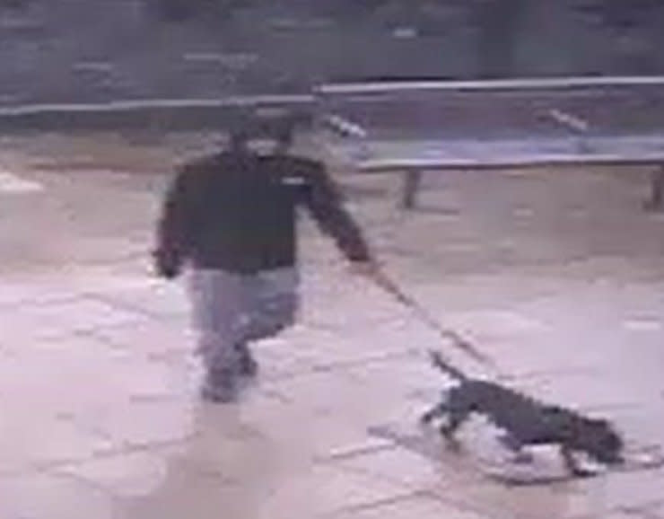 Police published CCTV footage of a dog's owner after the alleged attack. (North Wales Police)