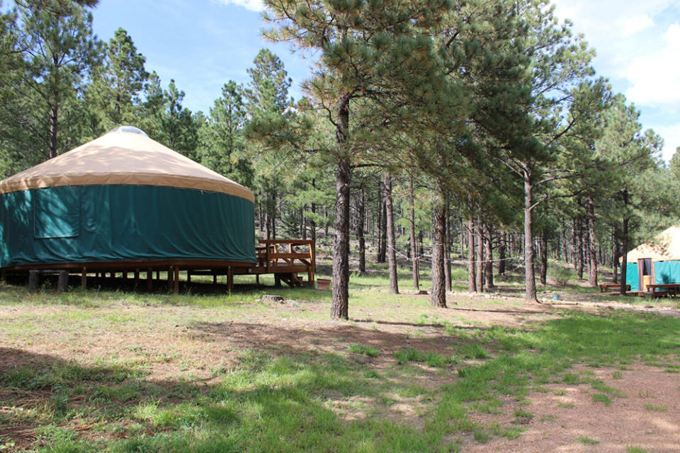 Yurts are surrounded by trees at Collins Lake Ranch on Monday, Sept. 12. (Photo by Megan Gleason / Source NM)