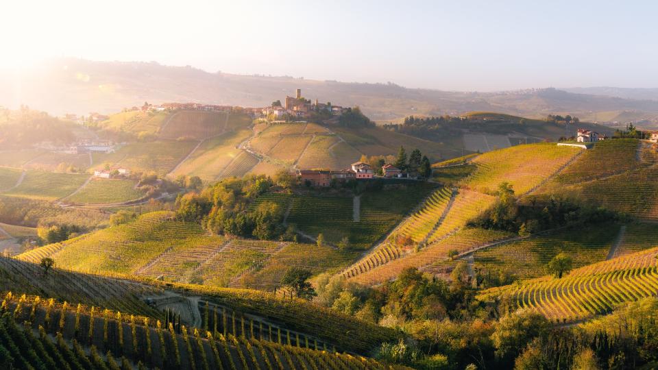 Langhe, the Barolo red wine region of Piedmont, in autumn.