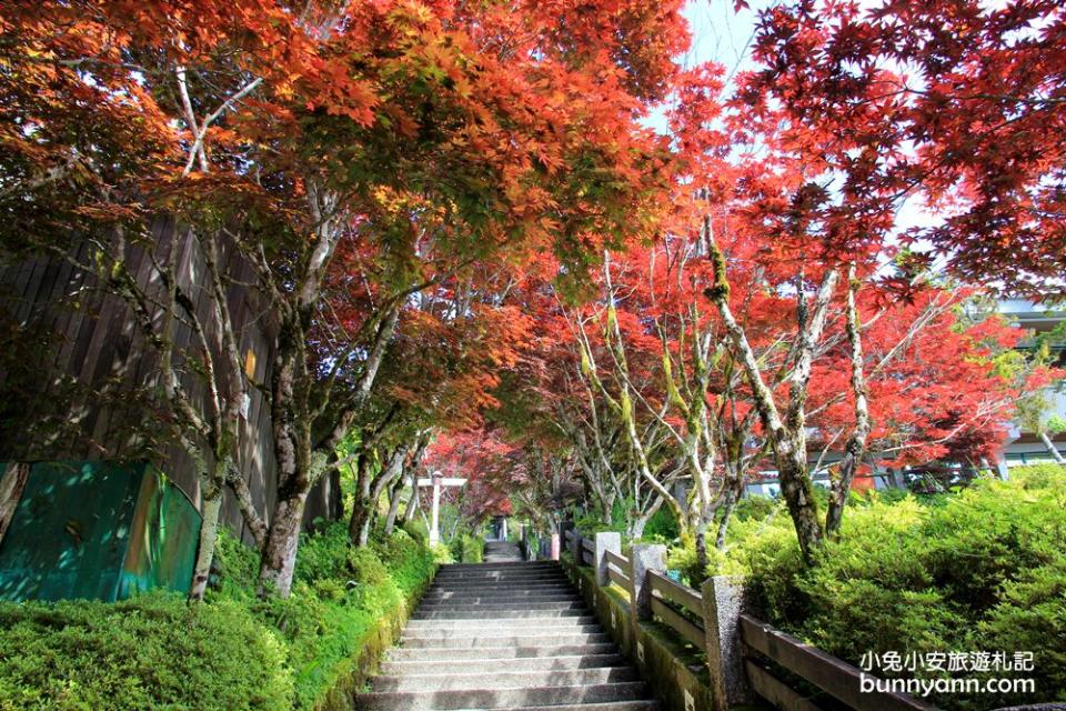 宜蘭太平山一日遊