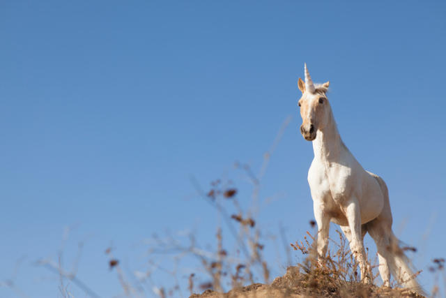 8 countries in the world that have a mythical national animal